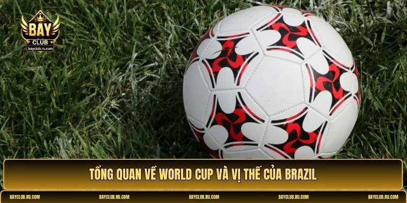 brazil vô địch world cup
