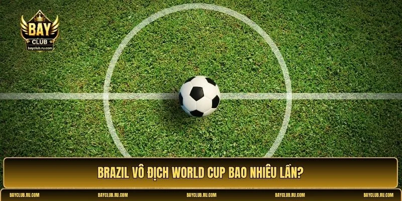 brazil vô địch world cup