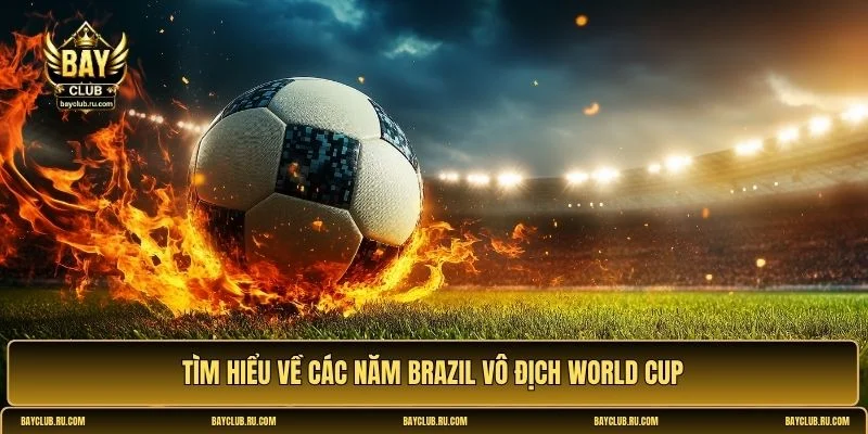 brazil vô địch world cup