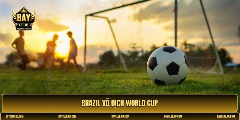 brazil vô địch world cup