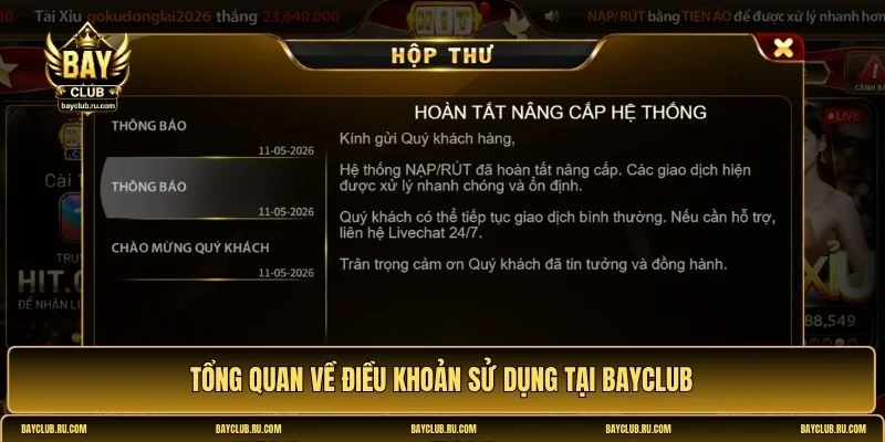 Điều khoản sử dụng