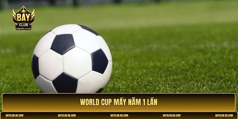 world cup mấy năm 1 lần